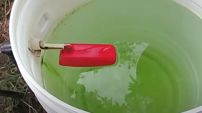Close-up of a red poultry waterer float in a green water bucket