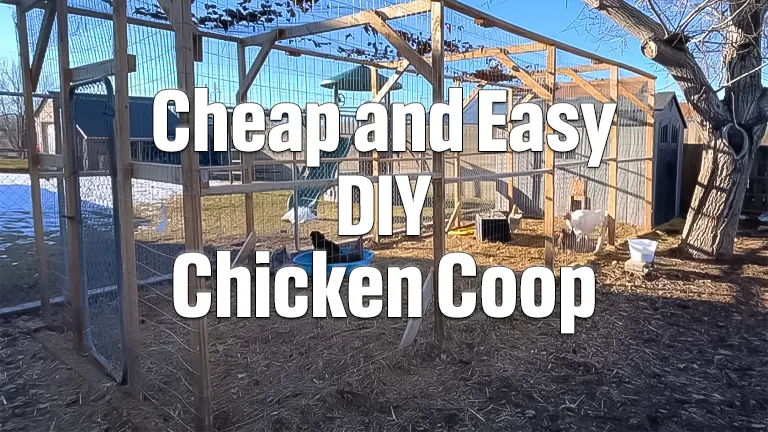 Cheap and Easy DIY Chicken Coop