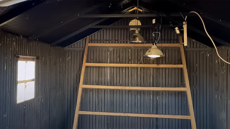 Interior of a DIY chicken coop showing a wooden roosting ladder and hanging heat lamps
