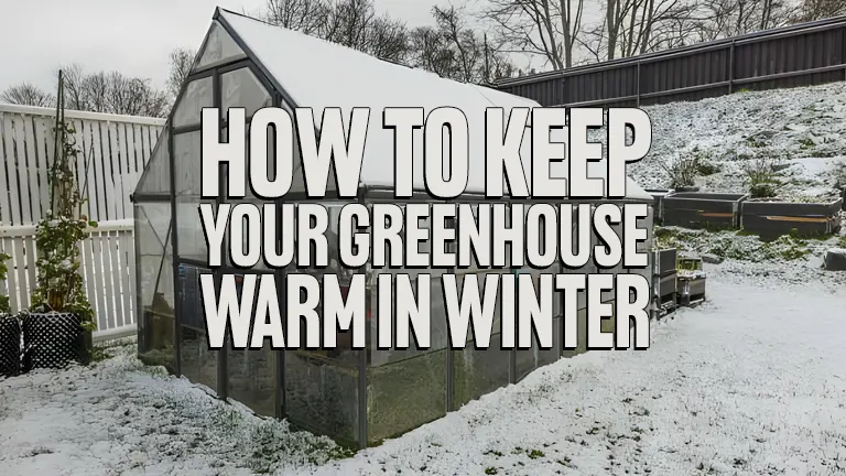 how-to-keep-your-greenhouse-warm-in-winter-forestry-reviews