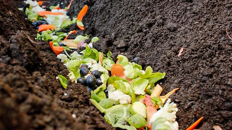 Explore Trench Composting