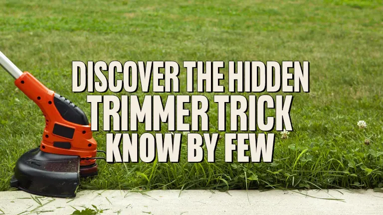 Discover the Hidden Trimmer Trick Known by Few