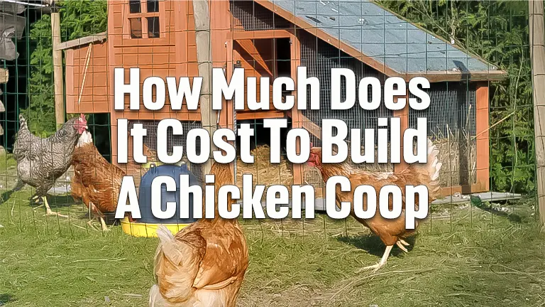 How Much Does It Cost To Build A Chicken Coop