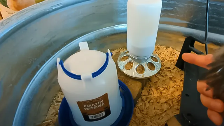 Poultry watering equipment inside a metal basin with wood shavings