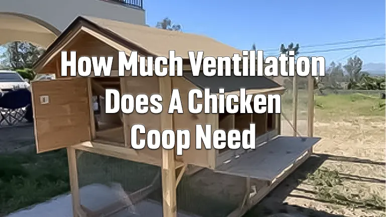 How Much Ventilation Does A Chicken Coop Need?