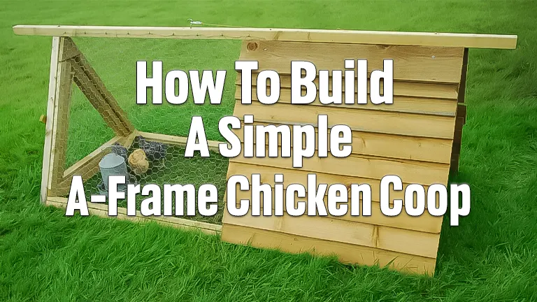 How To Build A Simple A-Frame Chicken Coop: Step-by-Step Guide