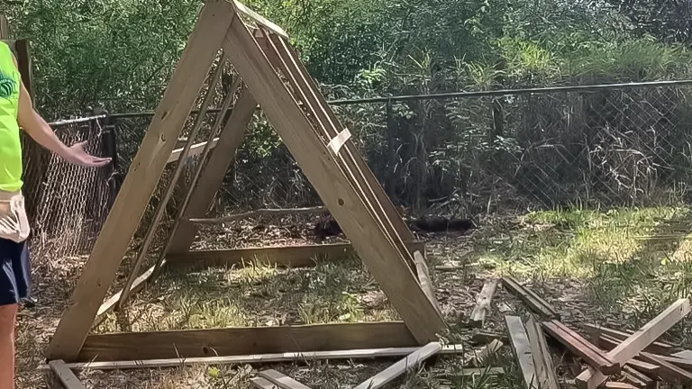 Partial construction of an A-frame chicken coop with wooden beams