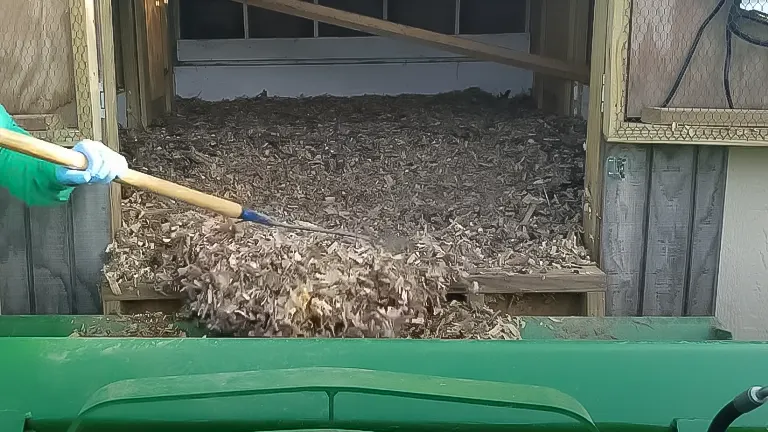 person cleaning a chicken coop with a rake