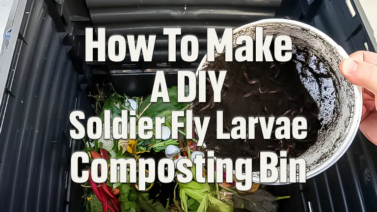 How to Create Your Own Black Soldier Fly Larvae Composting Bin: A DIY Guide