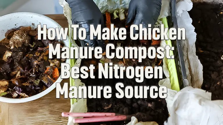 Composting Chicken Manure: How to Boost Nitrogen Content