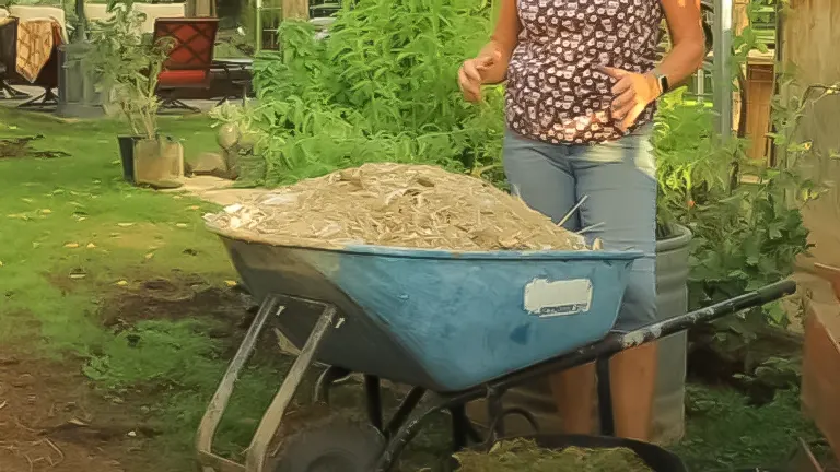 Woman standing beside a wheelbarrow filled with straw or hay in a garden