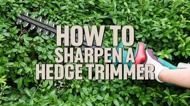 How To Sharpen A Hedge Trimmer: A Complete Maintenance Guide