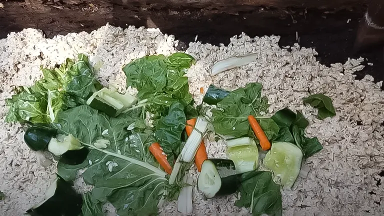 Fresh vegetable scraps on a bed of oatmeal in a Black Soldier Fly compost bin, ready for larvae to feed on
