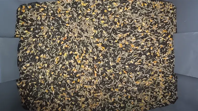 Mixed chicken feed consisting of grains and seeds displayed on a flat surface