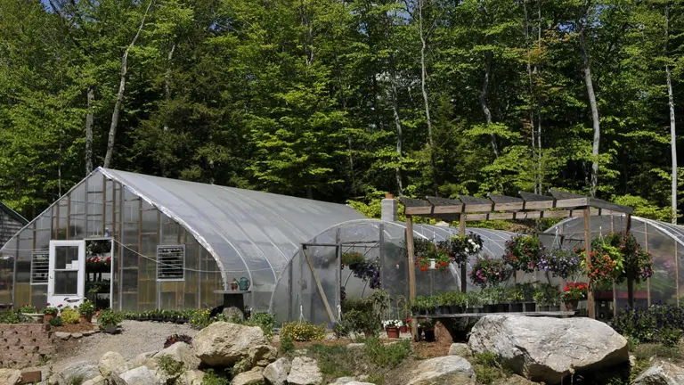 Greenhouse filled with diverse plants, nestled among trees and rocks