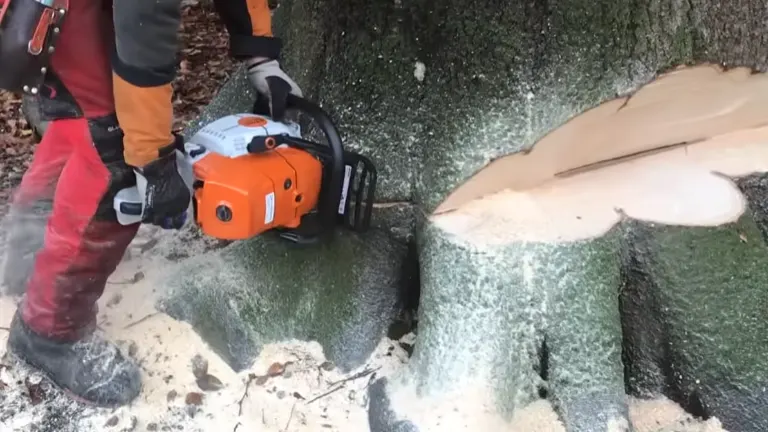 Person in red pants using a chainsaw to cut through a large tree trunk, with sawdust flying away.