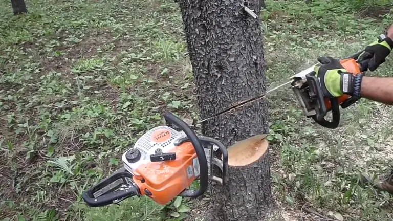 A person using a second chainsaw to free a stuck one from a tree trunk