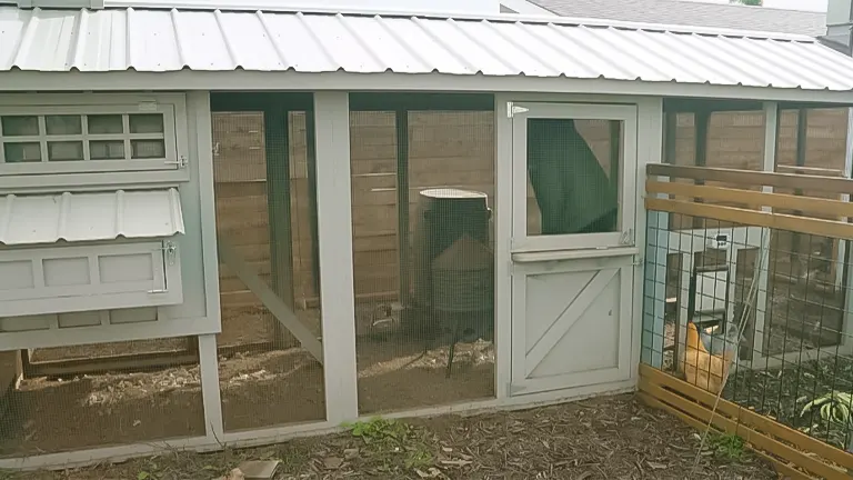 A well-constructed chicken coop with an attached run in a backyard setting