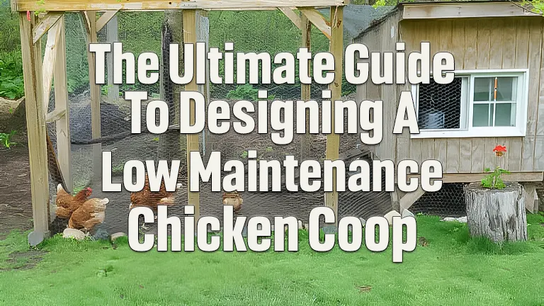 Designing the Perfect Low-Maintenance Chicken Coop: Your Ultimate Guide