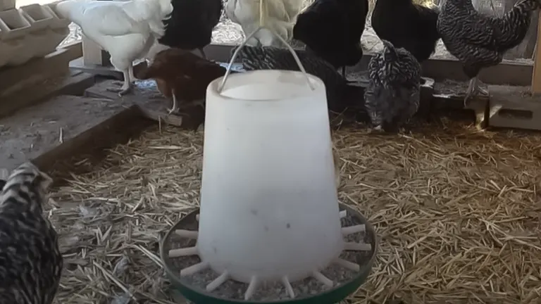 A chicken feeder in the foreground with various chickens in the background inside a coop with straw bedding