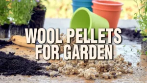 Wool Pellets For Gardening
