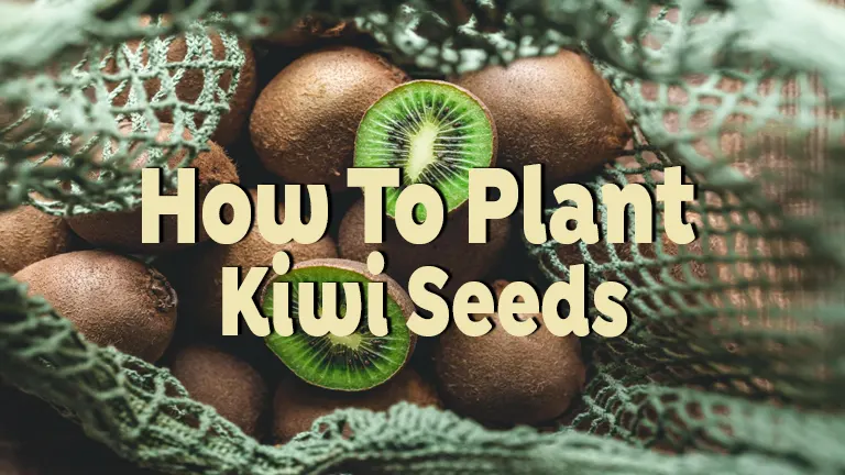 How to Plant Kiwi Seeds: Step-by-Step Guide for Juicy Harvests