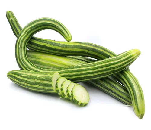 Armenian Cucumber (Snake cucumber)