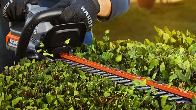 Person using an ATLAS electric hedge trimmer on green bushes