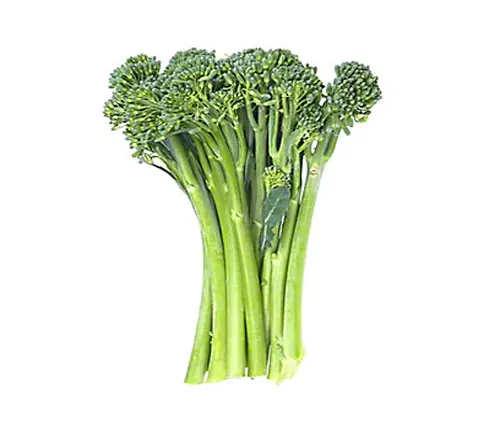 Sprouting Broccoli (also known as Broccolini or Baby Broccoli):