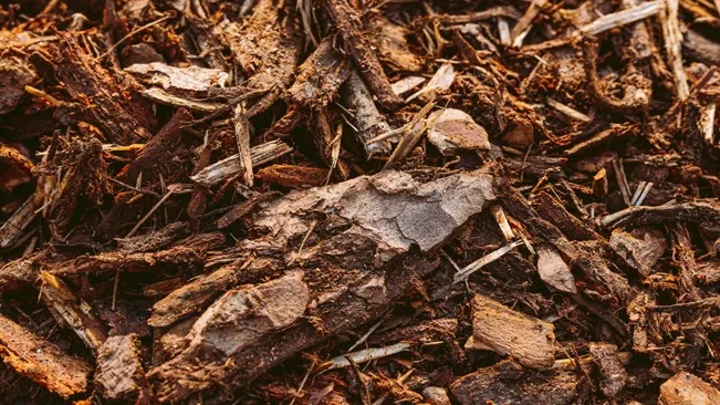 bark and wood chips