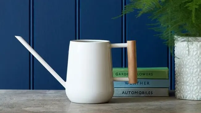 White watering can on wooden table next to plant