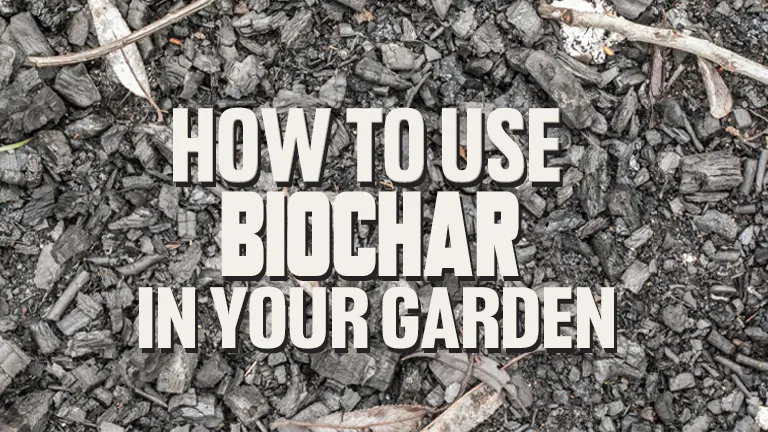 How to Use Biochar in Your Garden: Boosting Soil Fertility and Plant Health