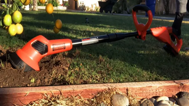 Person using a red and black Black+Decker tiller in a garden with fruit-bearing plants