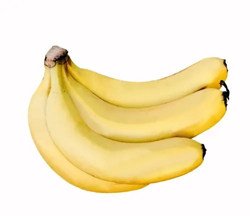 Cavendish Bananas: 