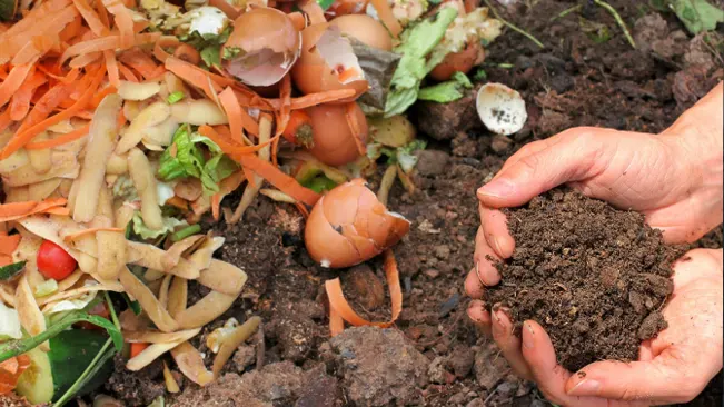 a person holding compost soil with a pile of kitchen waste nearby