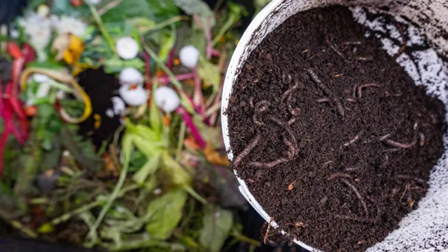 Bucket of soil and worms over a compost pile