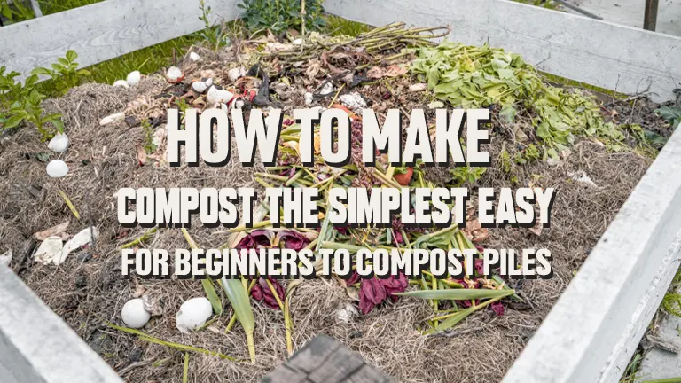 Beginner's Guide To Composting: Easy Steps To Enrich Your Garden ...