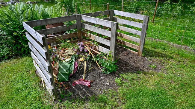 A wooden compost bin filled with compost in a garden