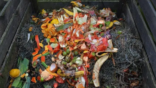 Bucket of soil and worms over a compost pile