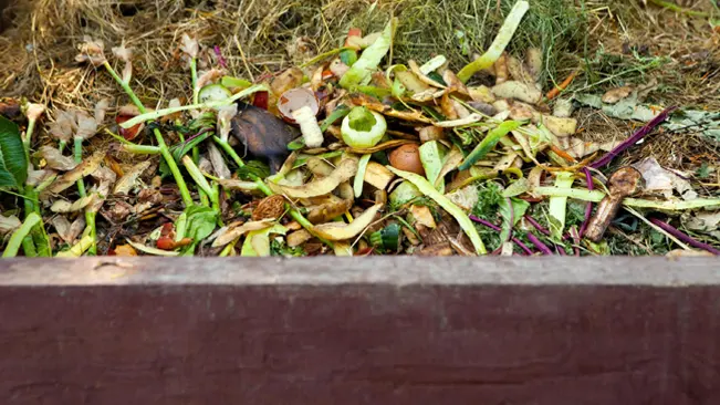 Compost pile with various organic waste.
