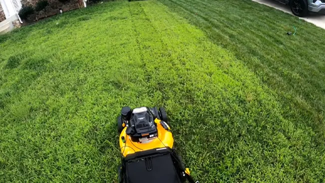 A cub cadet lawnmower on a freshly mowed lawn.