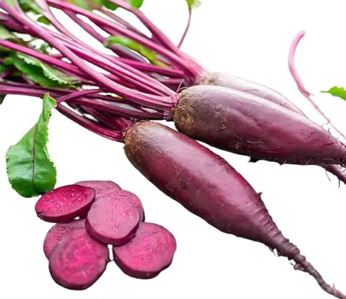 Cylindra Beet:
