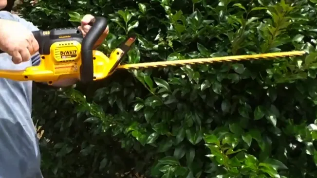 person using a yellow DEWALT hedge trimmer to trim green bushes