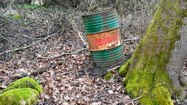 Rusted Castrol oil barrel in forest.