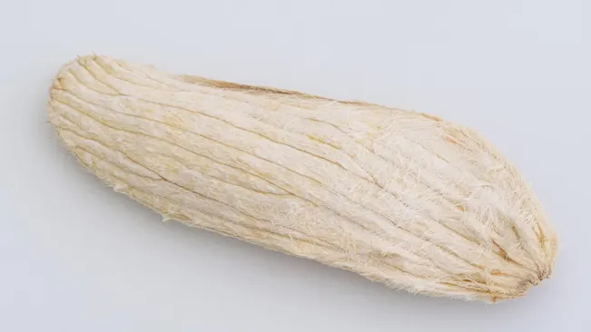 dried husk