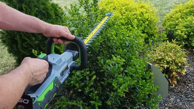 Person trimming a green bush with an electric hedge trimmer in a well-kept garden