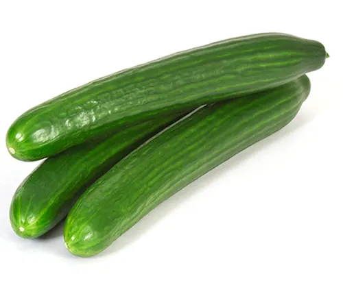 English Cucumber