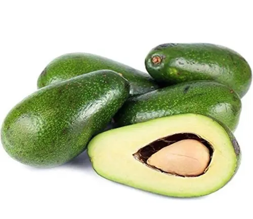 Ettinger Avocado
