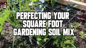 Perfecting Your Square Foot Gardening Soil Mix