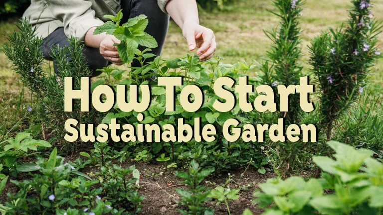 How to Start a Sustainable Garden